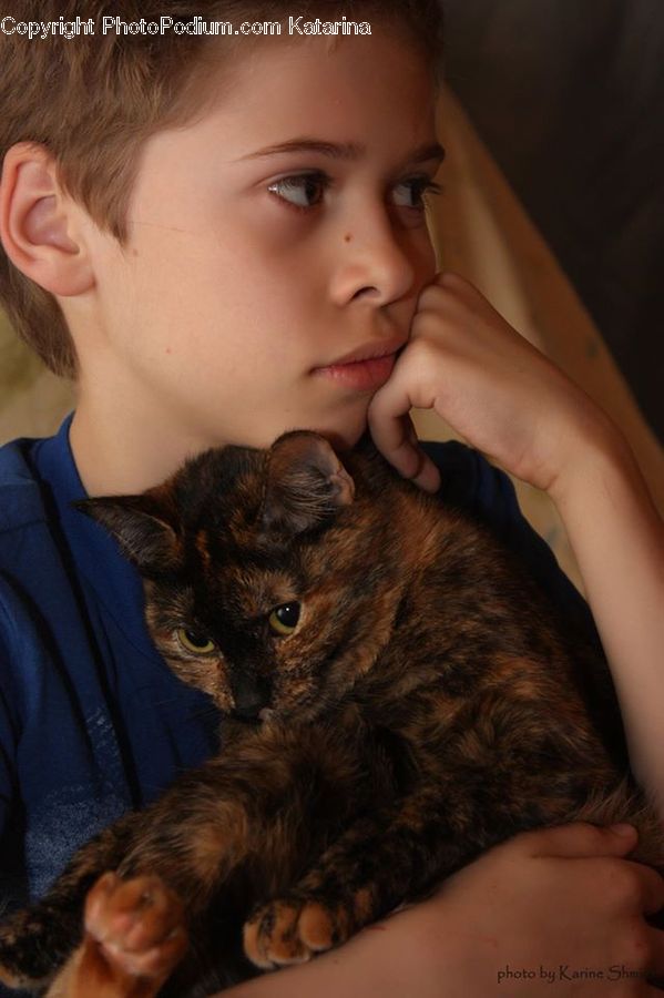 People, Person, Human, Animal, Cat, Mammal, Manx