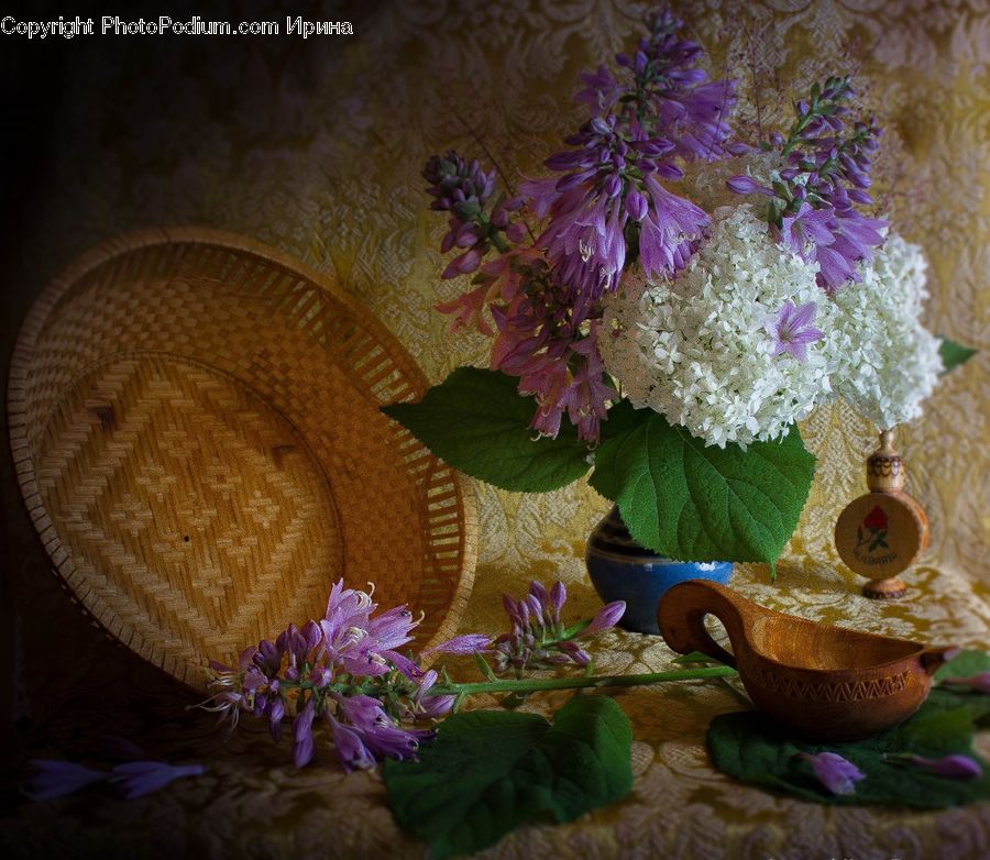 Plant, Potted Plant, Blossom, Flower, Lilac, Flower Arrangement, Flower Bouquet