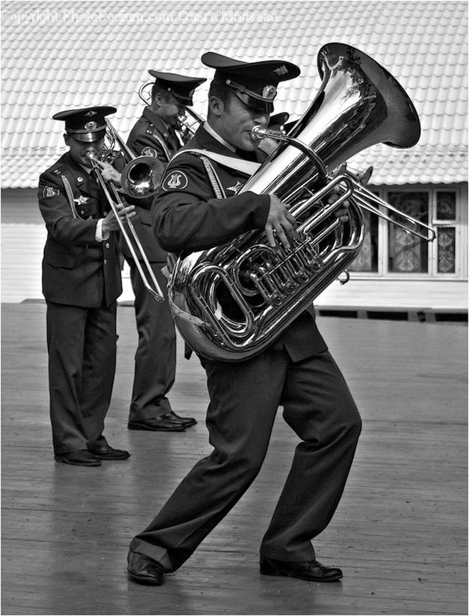 People, Person, Human, Brass Section, Horn, Musical Instrument, Trumpet