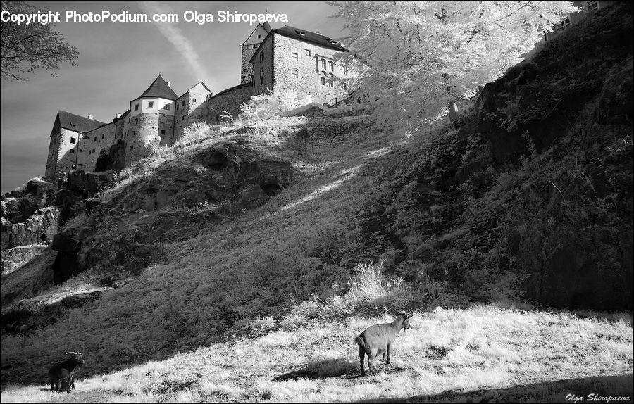 Rock, Countryside, Outdoors, Ruins, Alps, Crest, Mountain