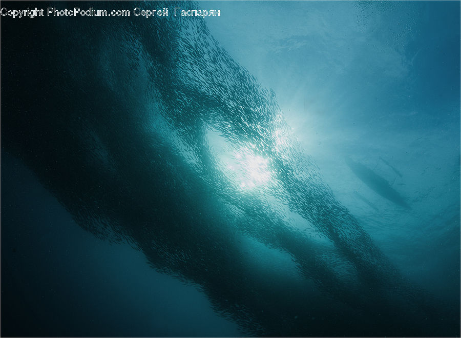 Ocean, Outdoors, Sea, Water