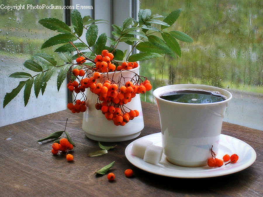 Porcelain, Saucer, Fruit, Persimmon, Citrus Fruit, Grapefruit, Glass
