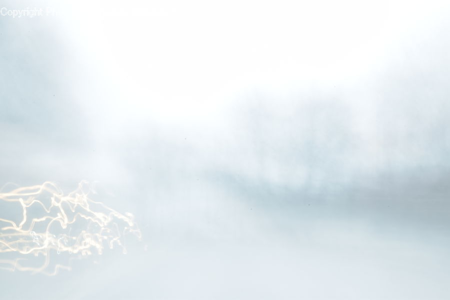 Light, Fog, Field, Grass, Grassland, Plant