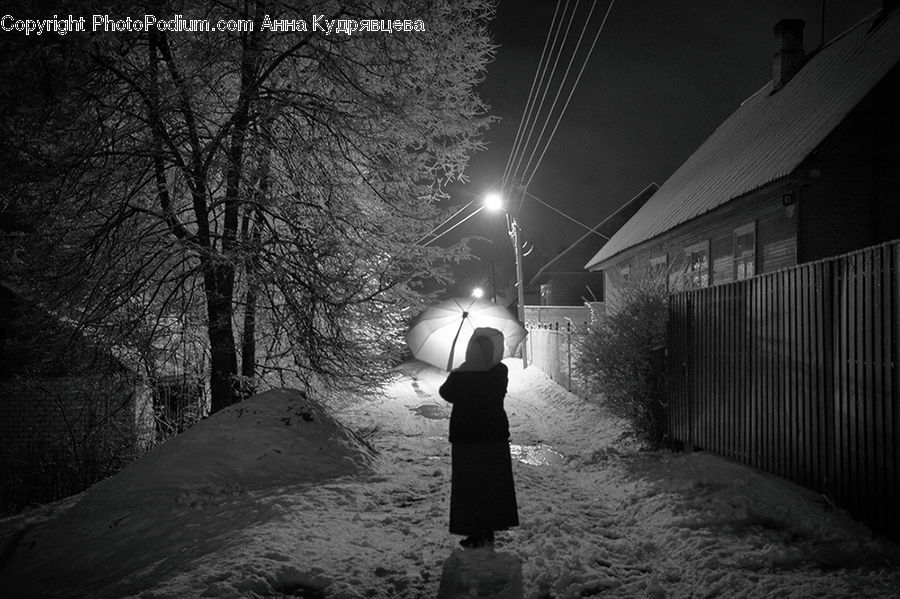People, Person, Human, Umbrella, Alley, Alleyway, Road