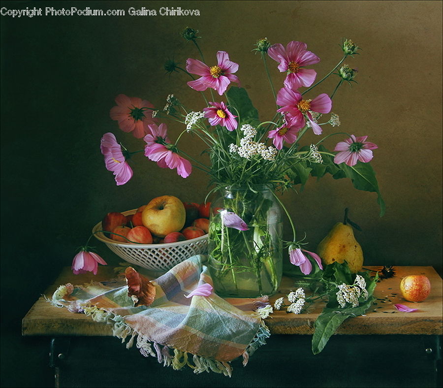 People, Person, Human, Plant, Potted Plant, Floral Design, Flower