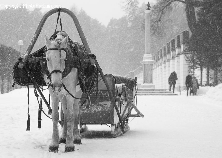 People, Person, Human, Art, Sculpture, Statue, Car
