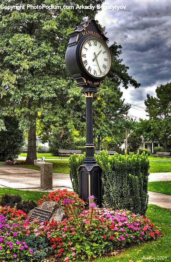 Garden, Blossom, Flora, Flower, Plant, Building, Architecture