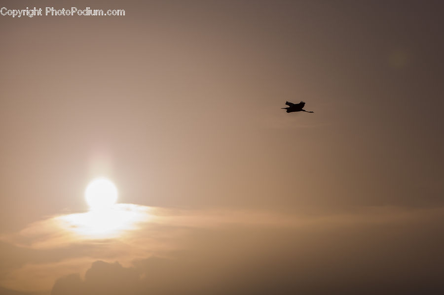 Launch, Missile, Rocket, Dawn, Dusk, Sky, Sunrise