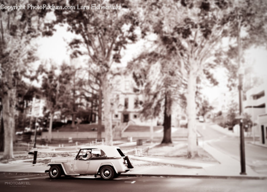 Automobile, Car, Convertible, Hot Rod, Vehicle, Sedan, Intersection