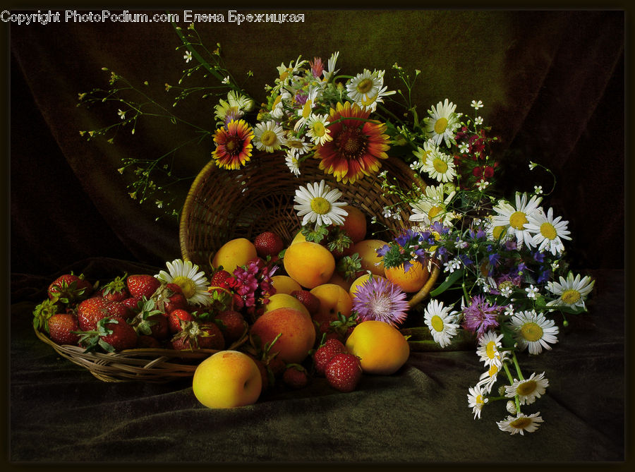 Daisies, Daisy, Flower, Plant, Glass, Goblet, Potted Plant