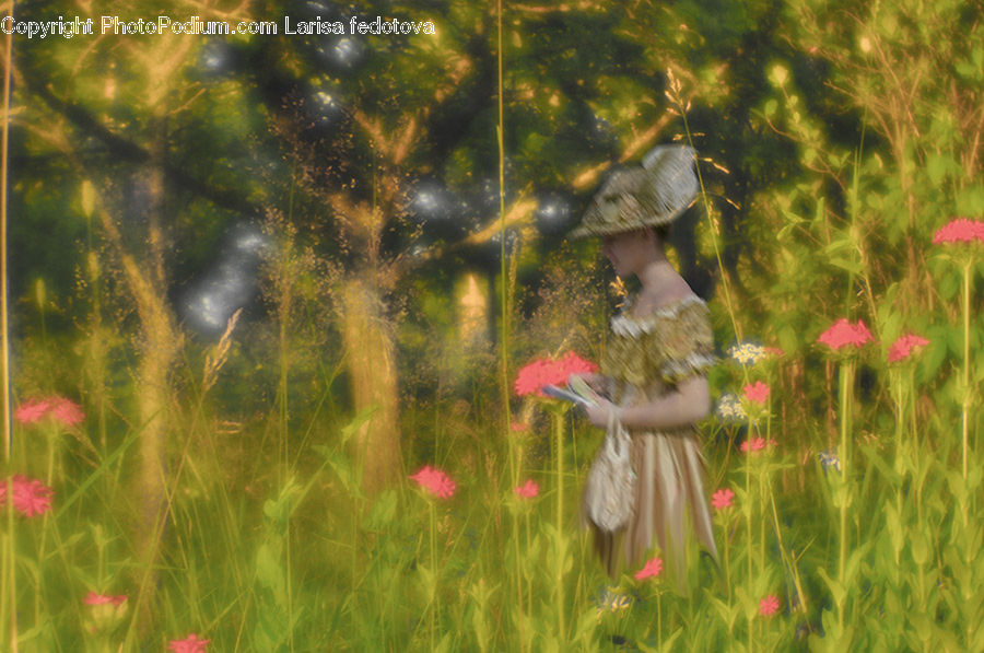 Cosmos, Carp, Fish, Sea Life, Maple, Maple Leaf, Plant