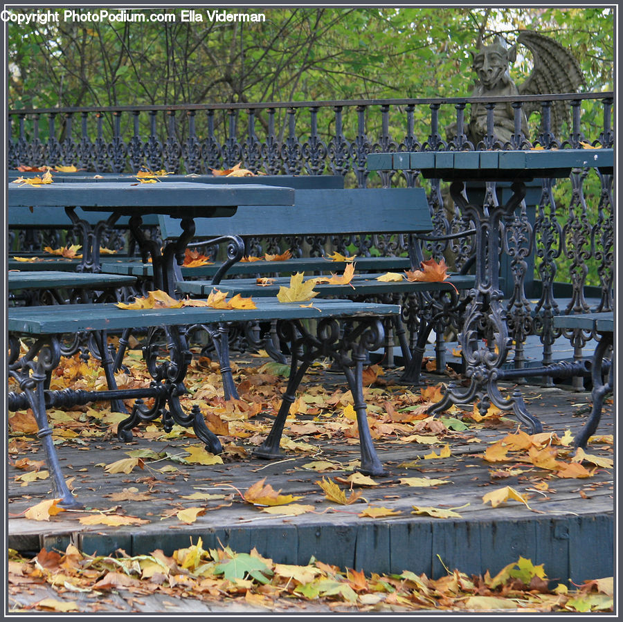 Bench, Dining Table, Furniture, Table, Lumber