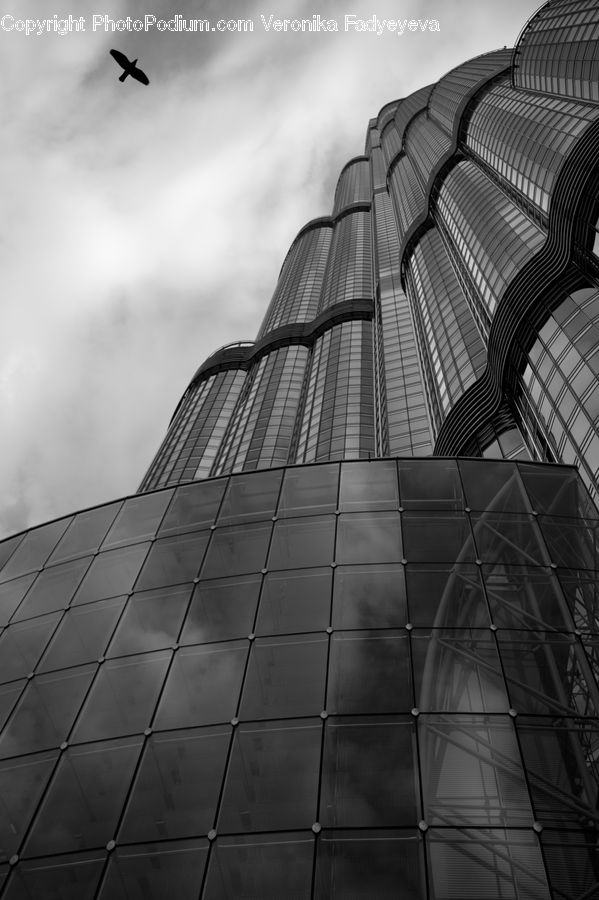Architecture, City, Downtown, High Rise, Skyscraper, Building, Urban