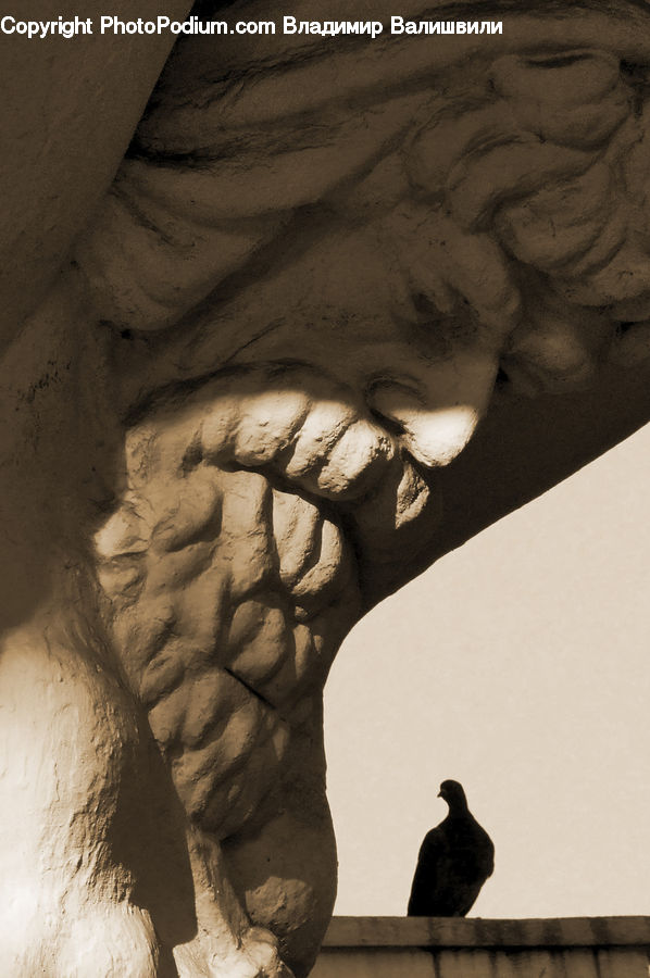 Art, Gargoyle, Statue, Bird, Pigeon, Modern Art, Grouse