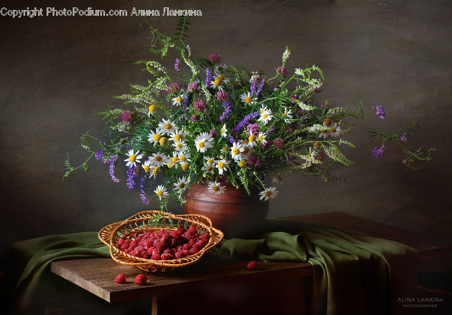 Plant, Potted Plant, Floral Design, Flower, Flower Arrangement, Flower Bouquet, Ikebana