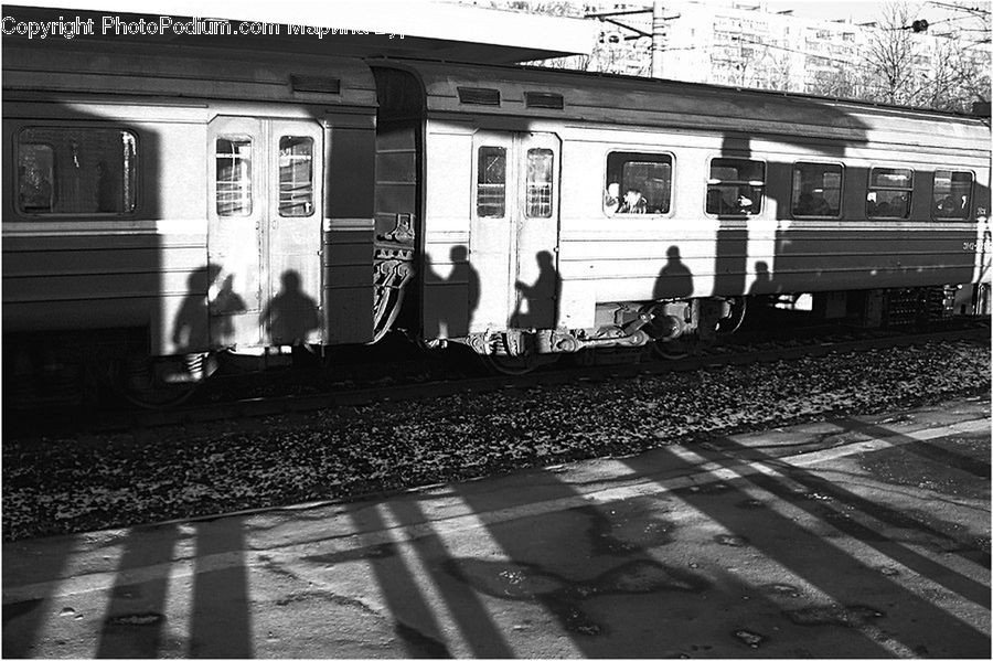 Train, Vehicle, Freight Car, Shipping Container, Cable Car, Streetcar, Trolley