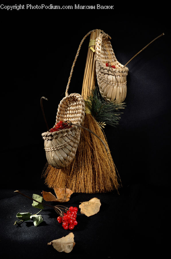 Ornament, Butterfly, Insect, Invertebrate, Fruit, Raspberry, Produce