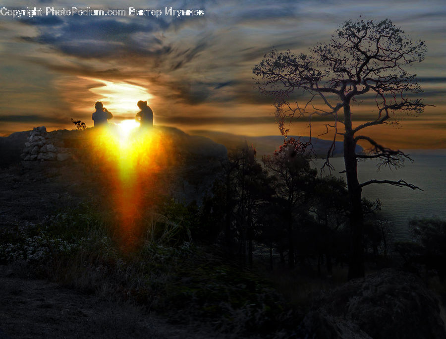 Dawn, Dusk, Sky, Sunrise, Sunset, Forest, Vegetation
