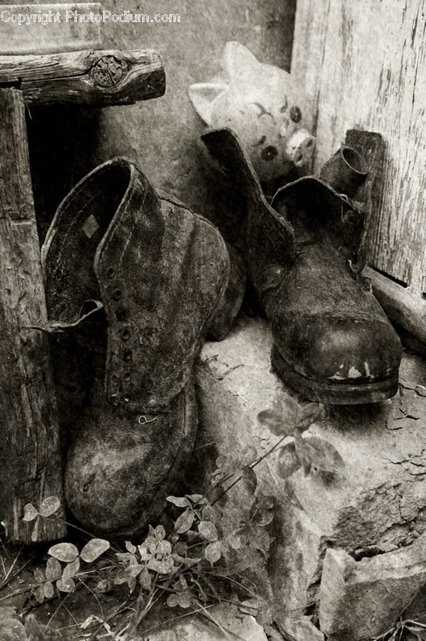 Tree Stump, Footwear, Shoe, Art, Sculpture, Statue, Wood