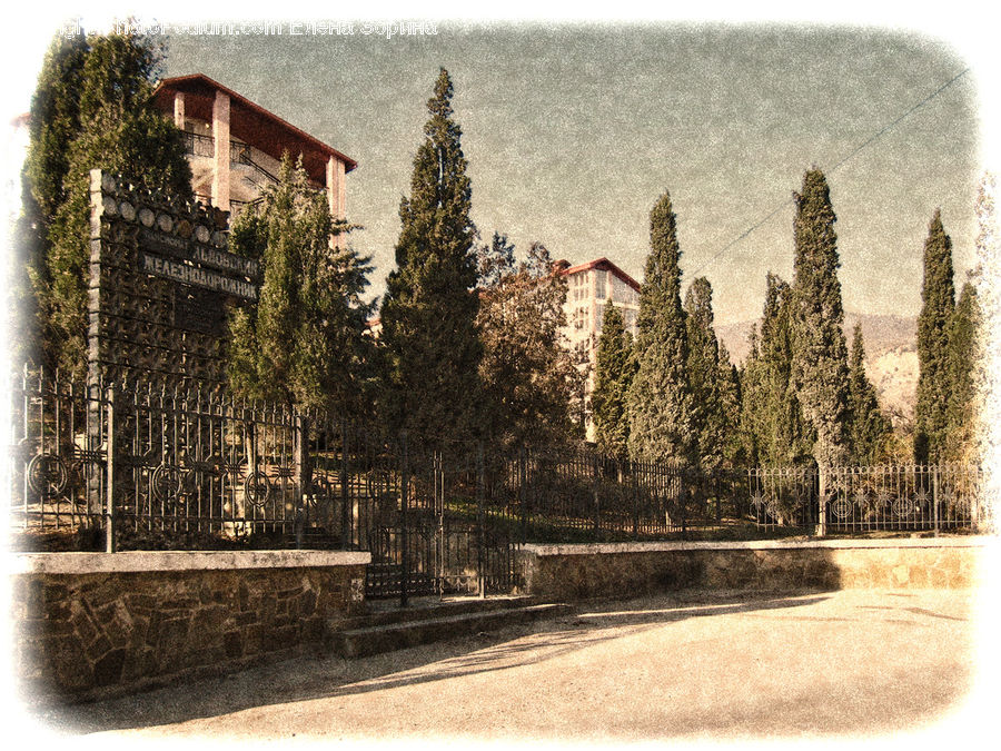 Building, Office Building, Conifer, Fir, Plant, Tree, Ancient Egypt