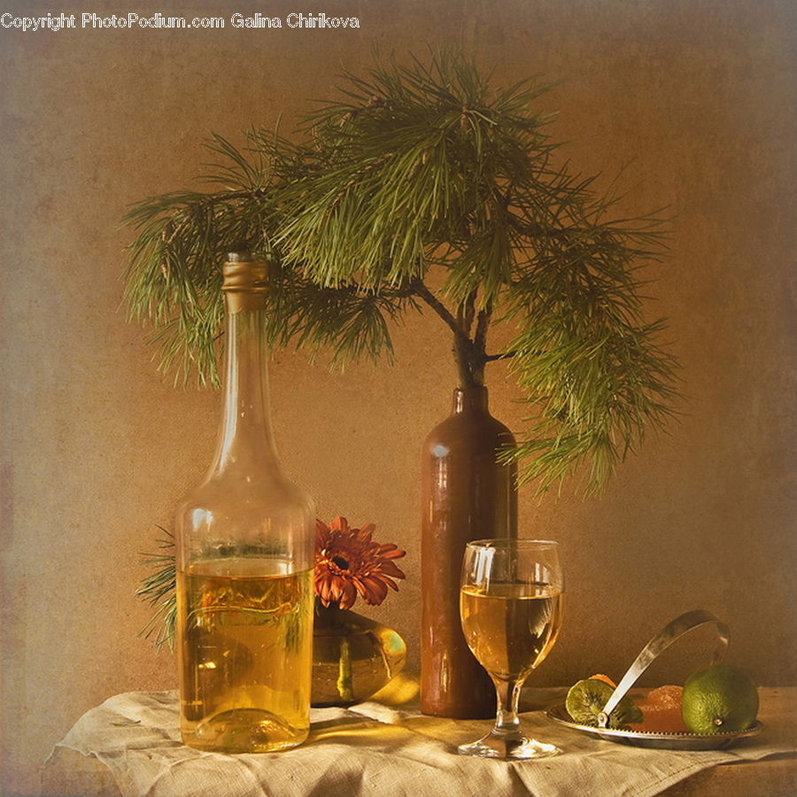 Plant, Potted Plant, Citrus Fruit, Fruit, Lime, Bottle, Glass