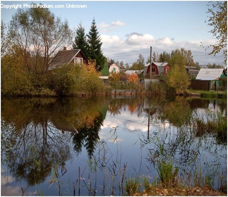 Outdoors, Pond, Water, Countryside, Blossom, Flora, Flower