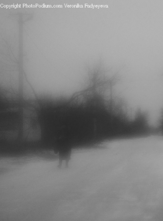 Fog