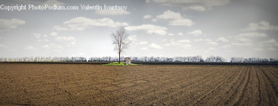 Dirt Road, Gravel, Road, Grain, Wheat, Soil, Landscape