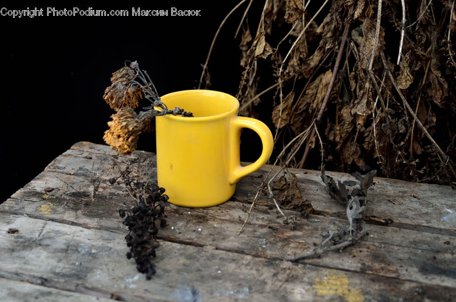 Bucket, Coffee Cup, Cup, Animal, Deer, Mammal, Wildlife