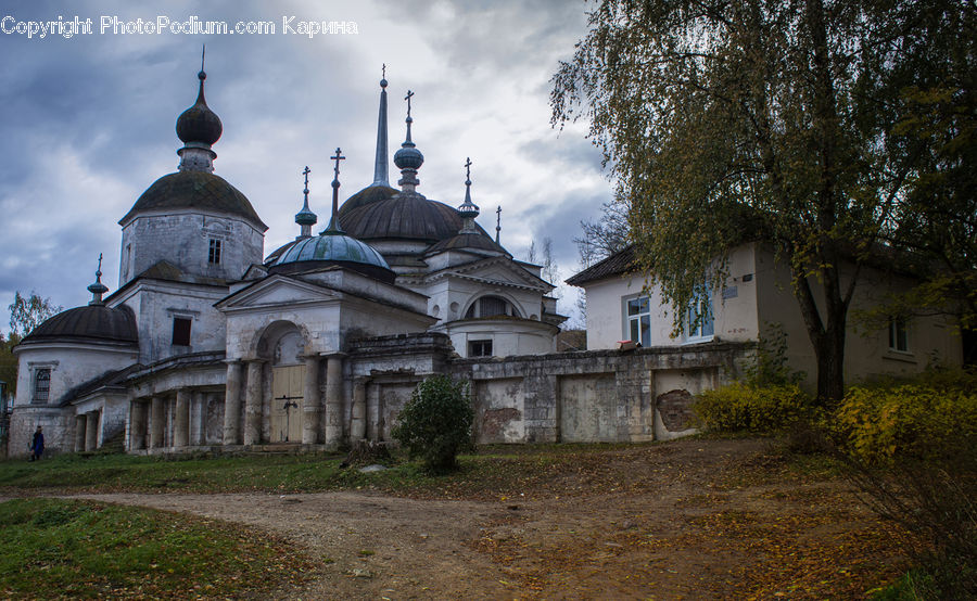 Architecture, Housing, Monastery, Church, Worship, Plant, Tree