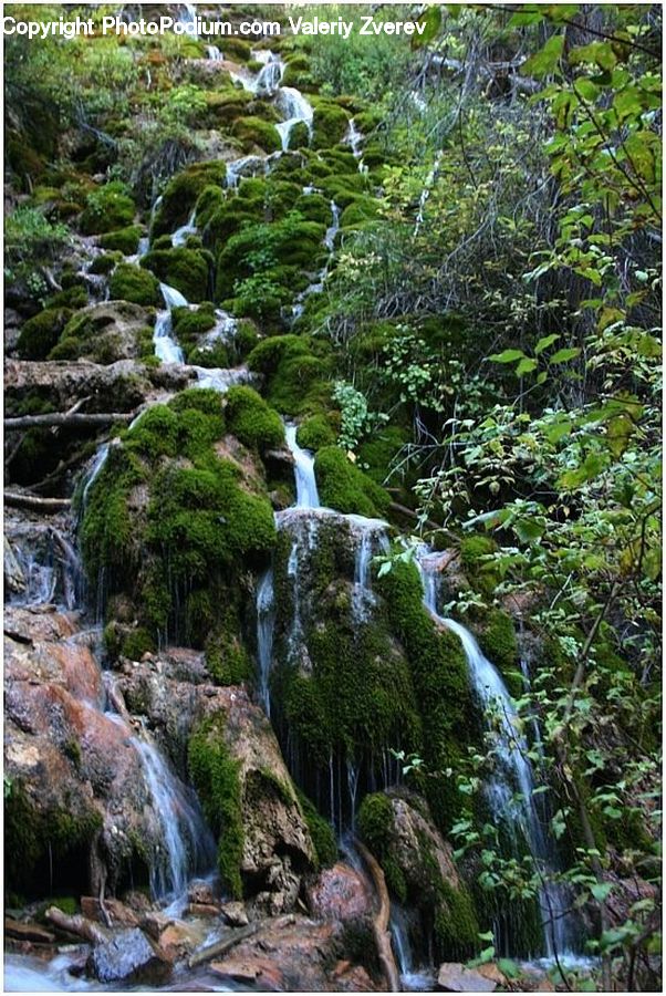 Outdoors, River, Water, Waterfall, Forest, Jungle, Rainforest