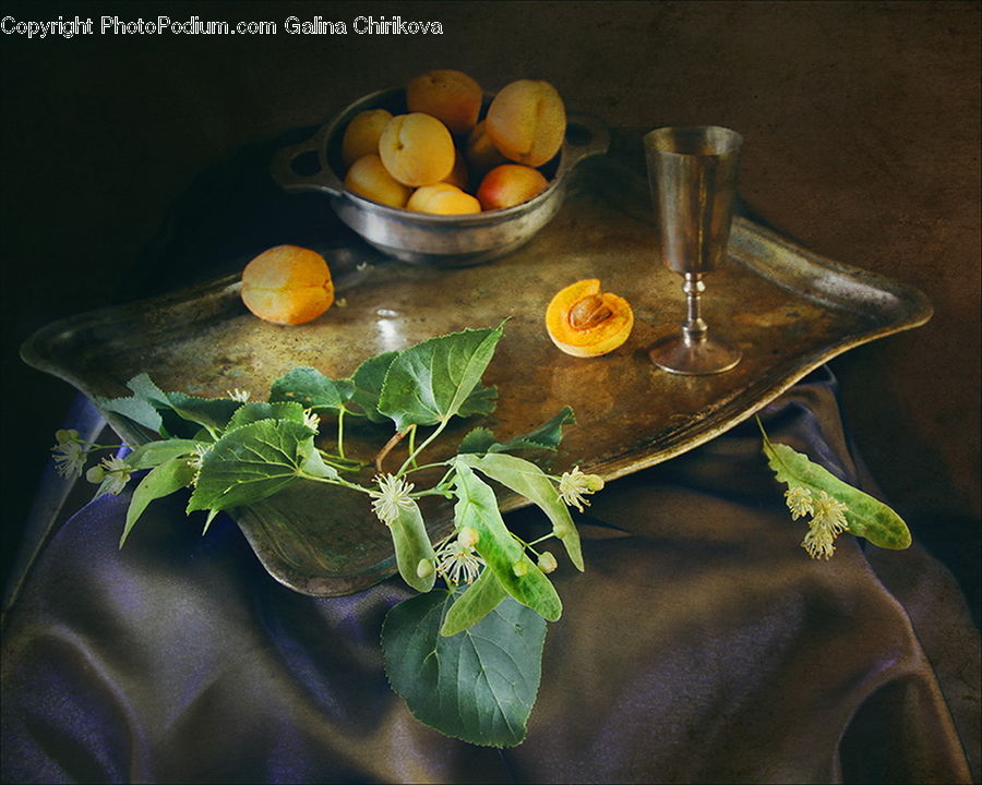 Plant, Dining Table, Furniture, Table, Flower Arrangement, Ikebana, Potted Plant