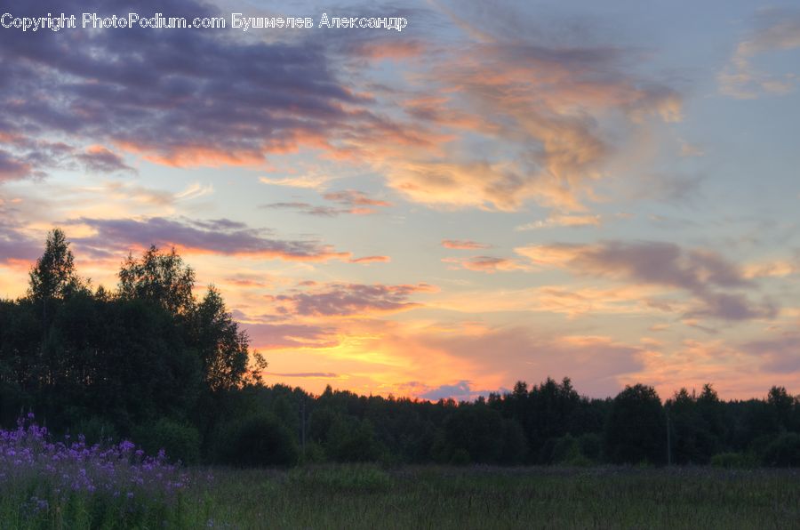 Dawn, Dusk, Red Sky, Sky, Sunrise, Sunset, Outdoors