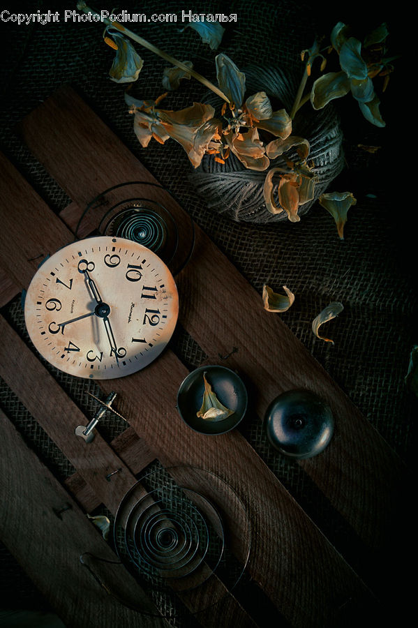 Tunnel, Bowl, Analog Clock, Clock, Alarm Clock, Garlic, Plant