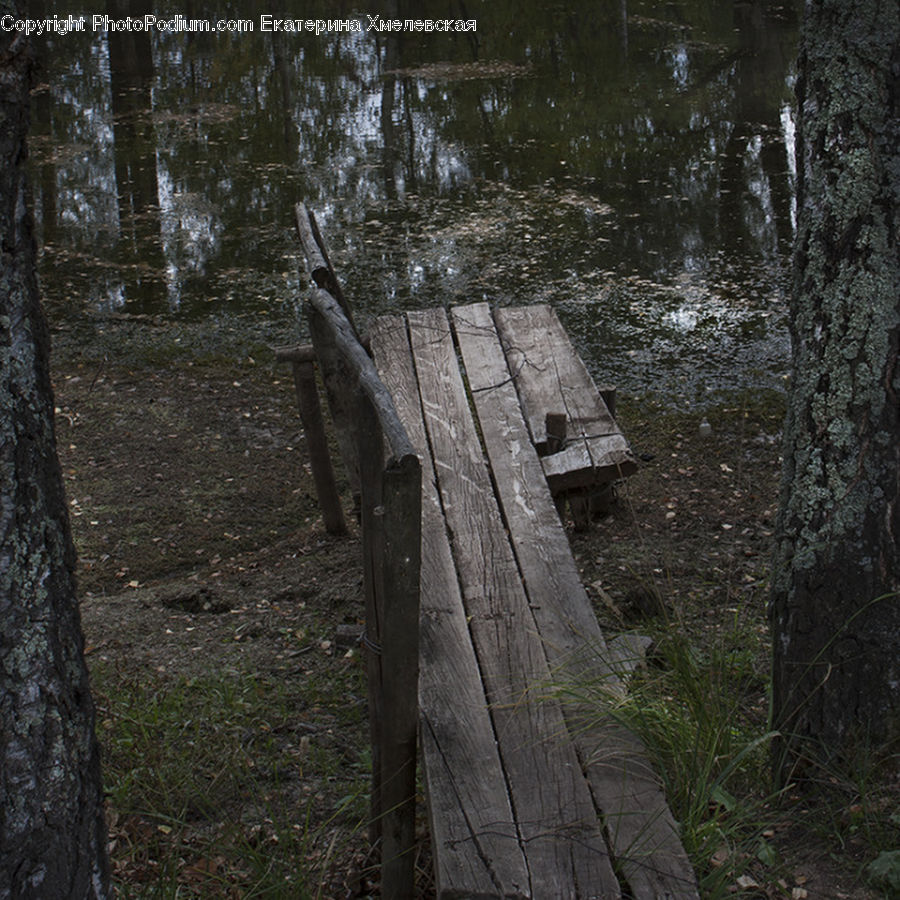 Plant, Potted Plant, Grass, Reed, Park Bench, Boardwalk, Deck