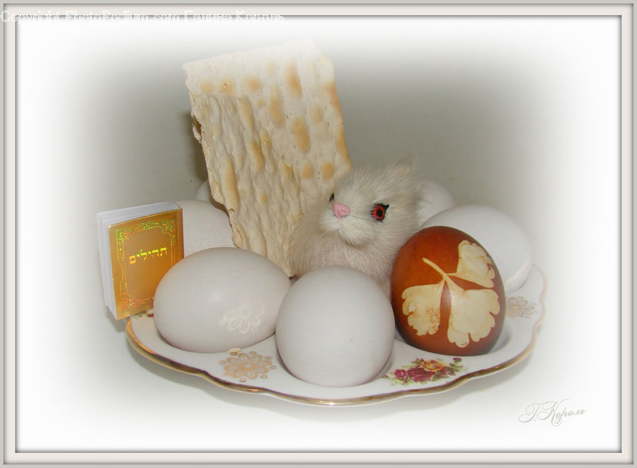 Food, Bowl, Meal, Accessories