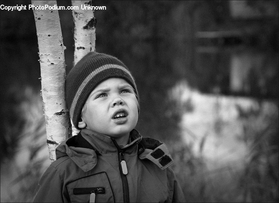 People, Person, Human, Birch, Tree, Wood, Portrait