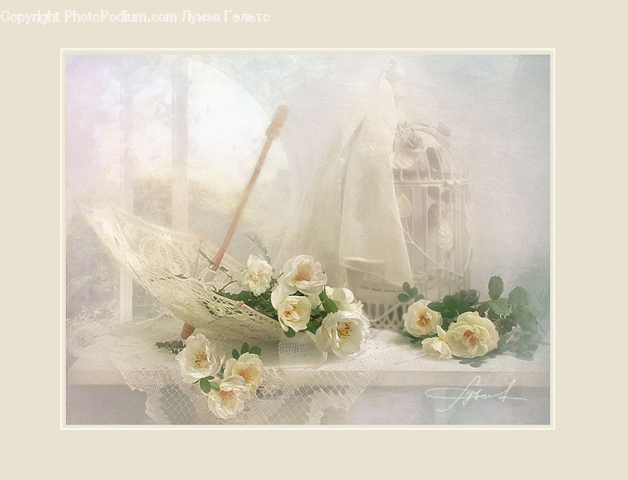 Blossom, Flower, Peony, Plant, Rose, Flower Arrangement, Flower Bouquet