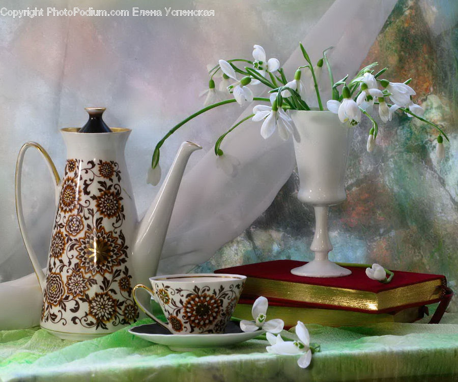 Jug, Pitcher, Coffee Table, Furniture, Table, Plant, Potted Plant
