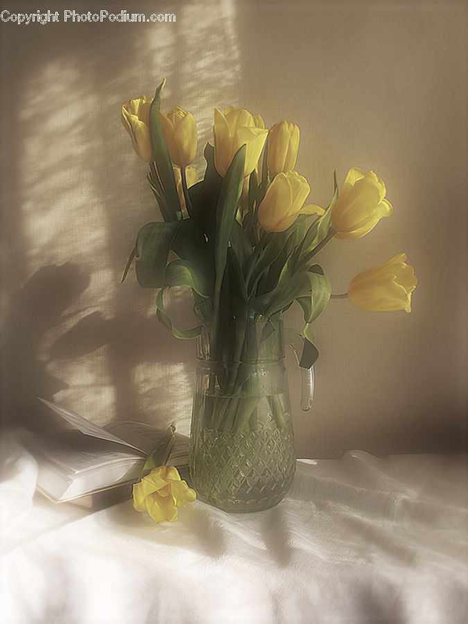 Flower, Flower Arrangement, Flower Bouquet, Blossom, Flora, Plant, Tulip