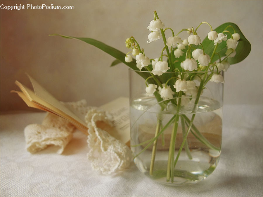 Flower Arrangement, Ikebana, Plant, Potted Plant, Vase, Flower, Flower Bouquet