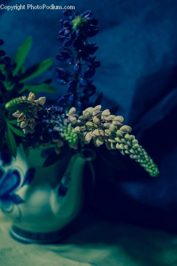 Aquarium, Aquatic, Sea Life, Water, Blossom, Flower, Lilac