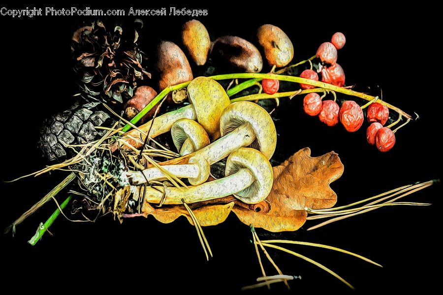 People, Person, Human, Acanthaceae, Annonaceae, Fruit, Accessories