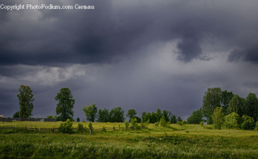 Outdoors, Storm, Weather, Field, Grass, Grassland, Land