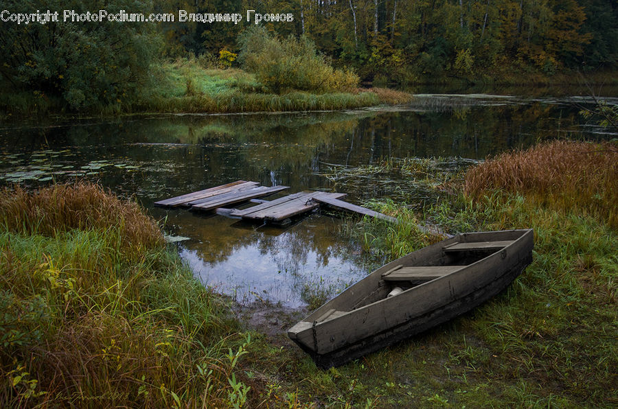 Boat, Rowboat, Vessel, Dinghy, Canoe, Bush, Plant