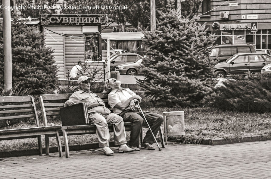 Bench, Automobile, Car, Vehicle, Performer, Person, Suv