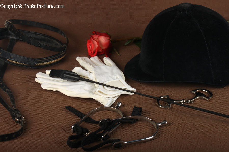 Blossom, Flower, Plant, Rose, Bag, Footwear, Shoe