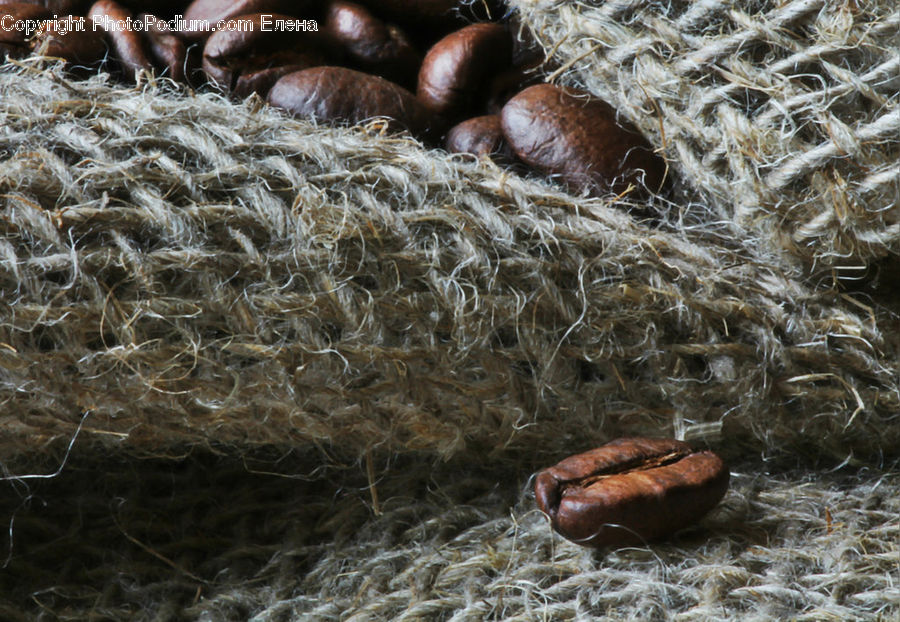 Acorn, Plant, Seed, Food, Nut, Bean, Produce