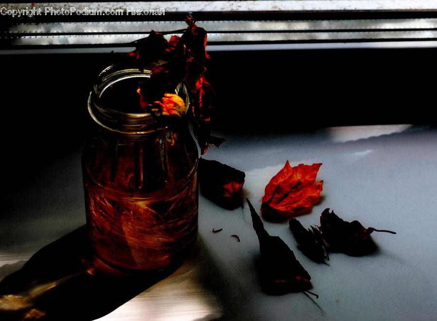 Maple, Maple Leaf, Plant, Alcohol, Beer, Beer Bottle, Beverage