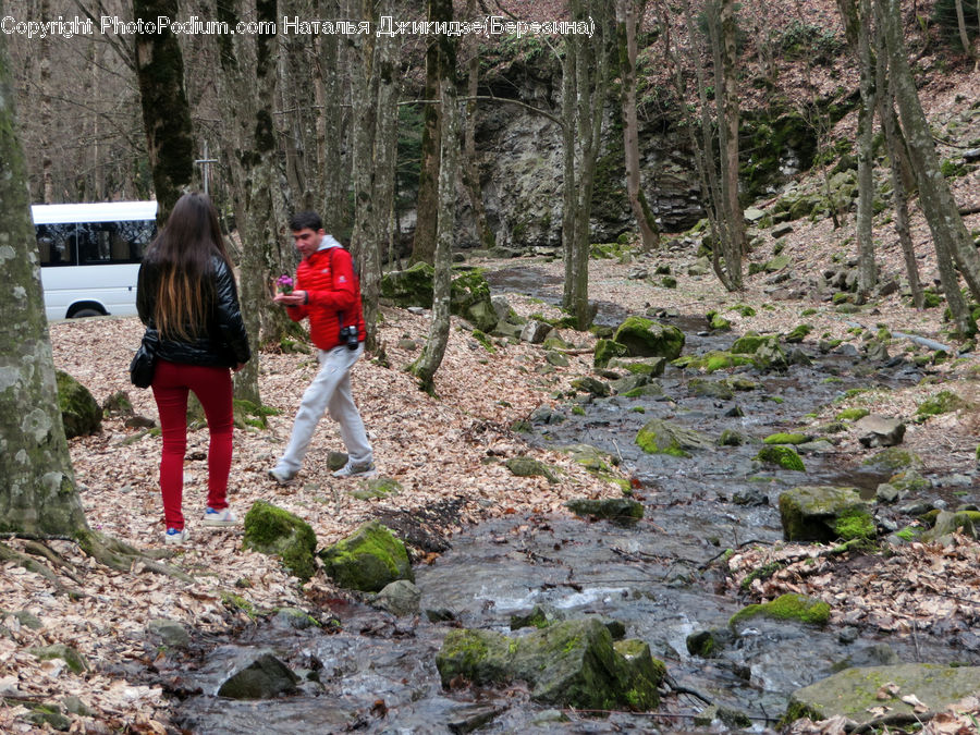 People, Person, Human, Hiking, Leisure Activities, Outdoors, Path